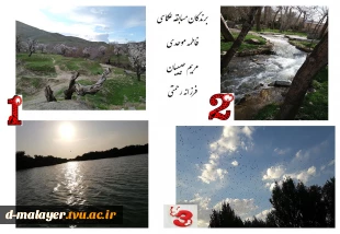 برندگان مسابقه عکاسی  2