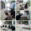 محرم 2