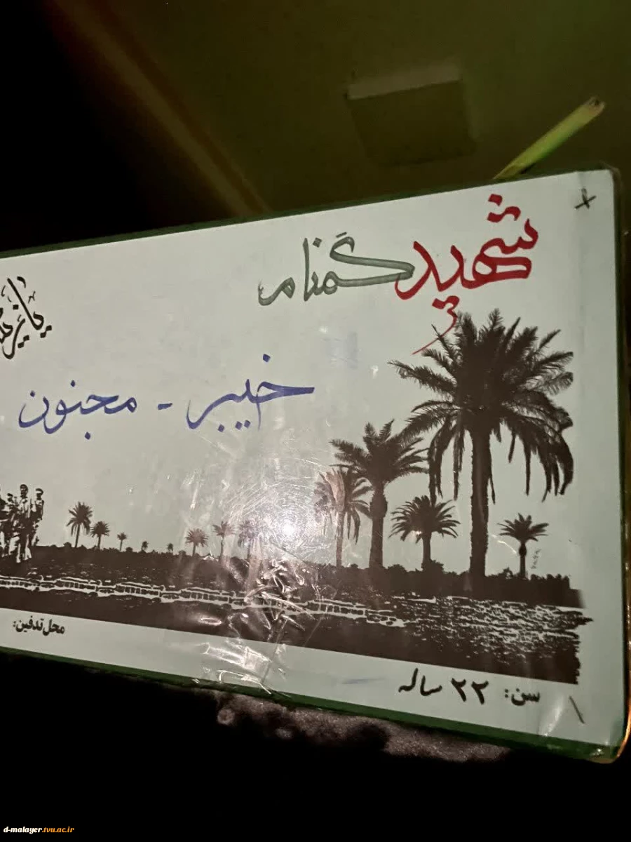 استقبال از شهید گمنام 2