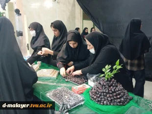 استقبال از شهید گمنام 8