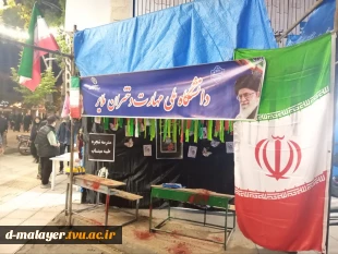 موکب دختران شجره طیبه میناب 7